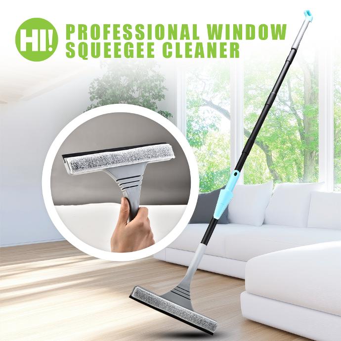 HI! PROFESSIONAL WINDOW SQUEEGEE CLEANER